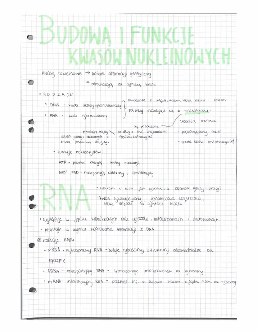 (1) HIERARCHICZNA BUDOWA ORGANIZMOW
Skład chemiczny organizmow
Q
PIERWIASTKI
(podstaHate elementy) np. białka,
/budyjque organiom!
budują si