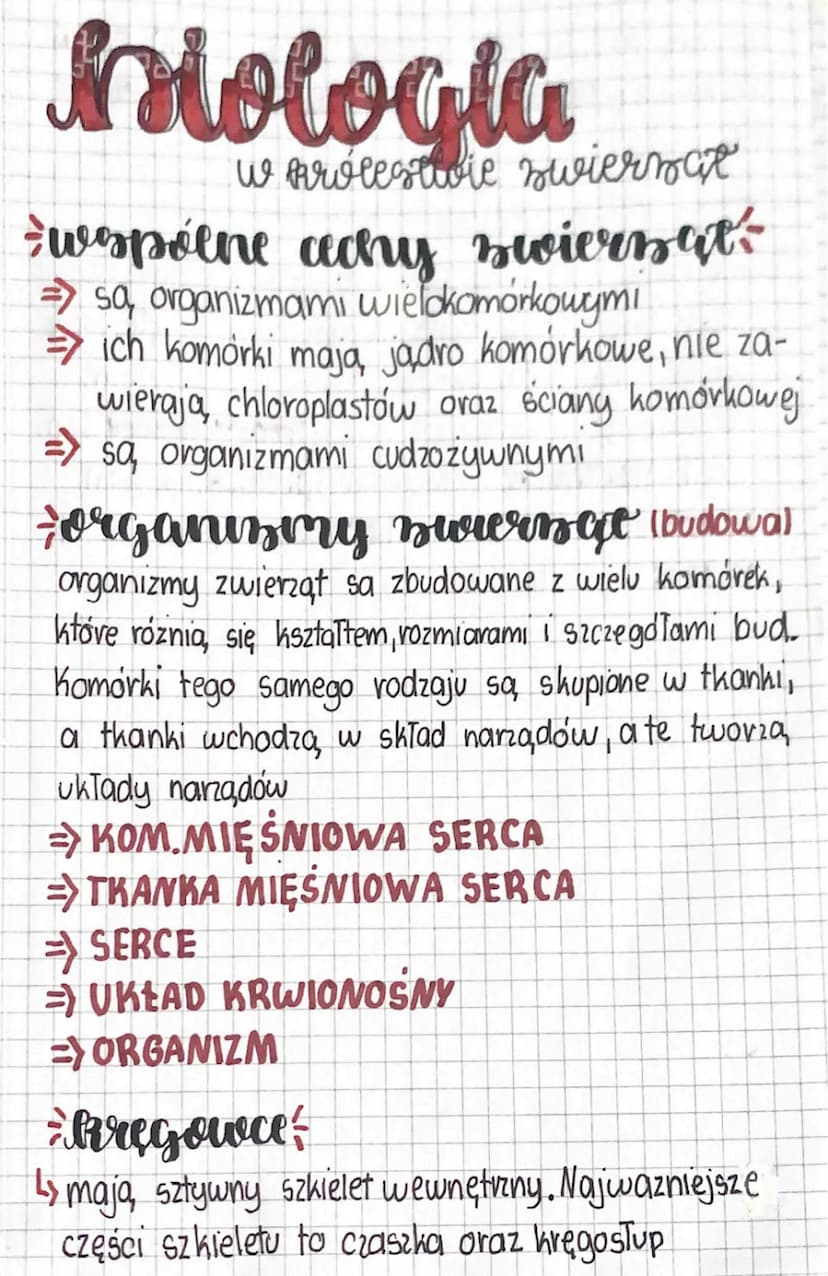 
<h3 id="wkrlestwiezwierztklasa6nowaera">W królestwie zwierząt klasa 6 nowa era</h3>
<p>W królestwie zwierząt klasy 6 uczymy się o organizma