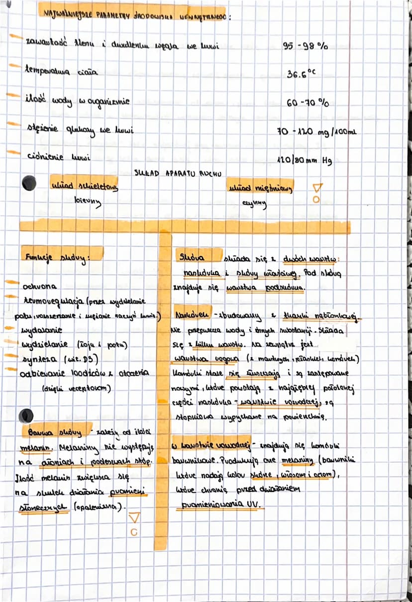 BIOLOGIA
Organizacja ciała człowienia:
kombuha ->thanka -> narxad -> whiad nam gdów -> auganizm
Za utrzymanic vównowagi homeostary organismu