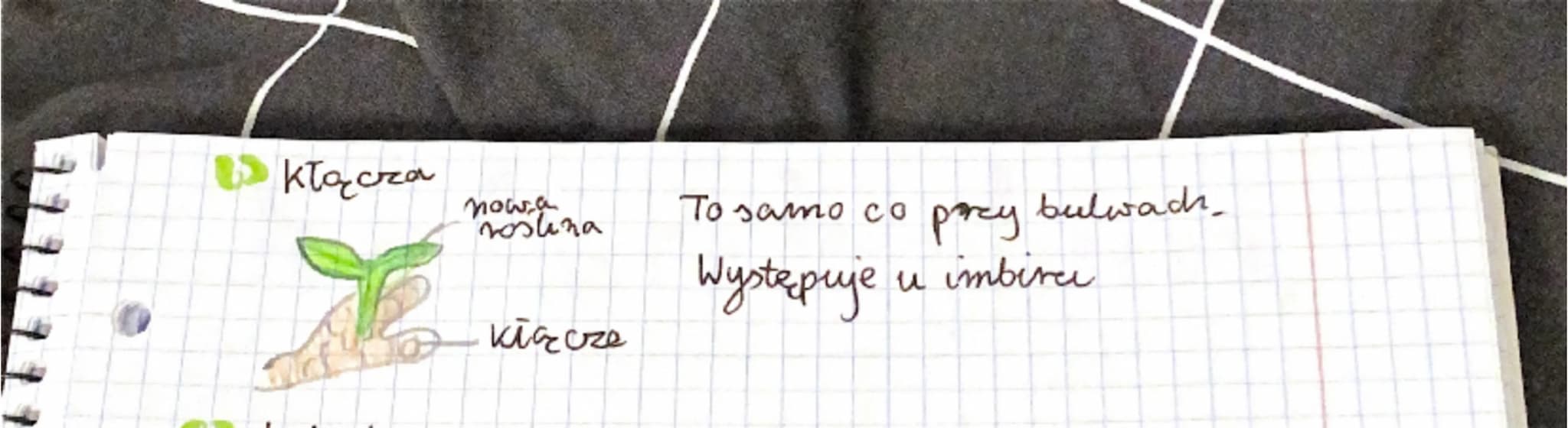 Fed Budowa i fun
Koje Tedy gi
1 Budowa i rodzaje pędów.
Uwiększość roślin występują pędy nad ziemne. Są zbu
dowane z łodygi i liści, a u nie