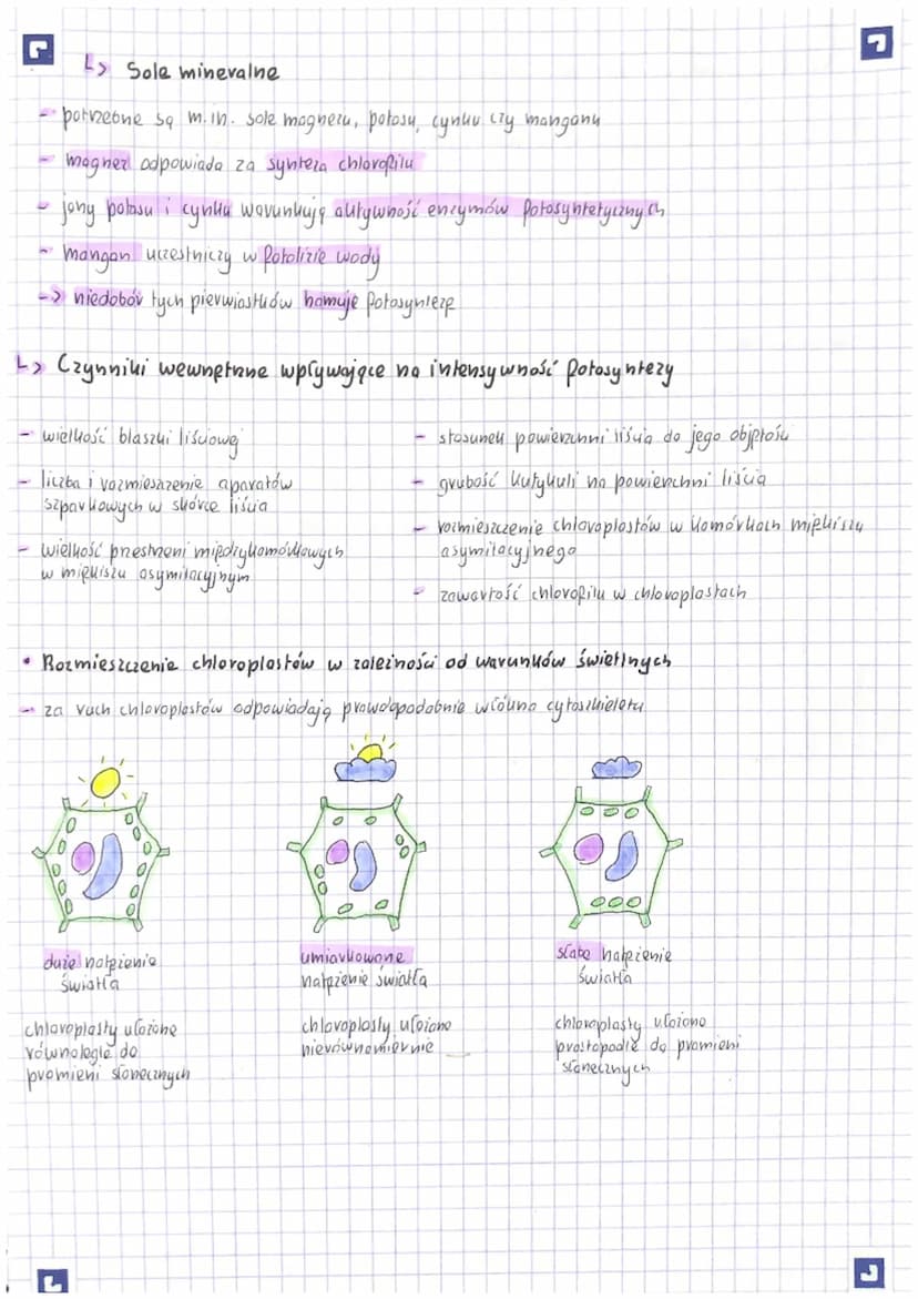 L> Światio
intensywność fotosyntezy vośnie wraz & intensywnościa światła
gdy natężenie światia osiagnie maksymaling wartość, jego wplyw no i