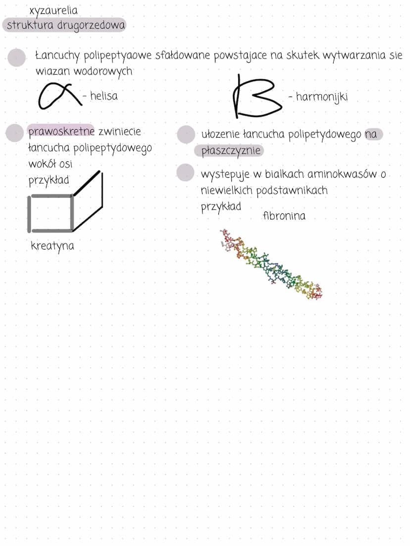 Aminokwasy
zbudowane z C, H, O, N
posiadaja grupy funkcyjne.
bialkowe
moga one sie ze soba łaczyc
tworzac poptydy i białka
ich własciwosci w