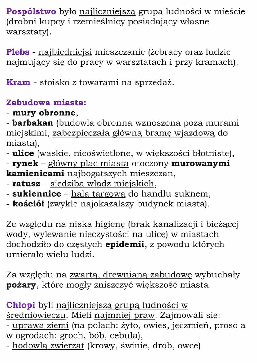 Społeczeństwo
średniowiecza
Cały dział
(NE, kl 5, dział V)
System feudalny
W średniowieczu uważano, że państwo jest własnością
władcy i cała