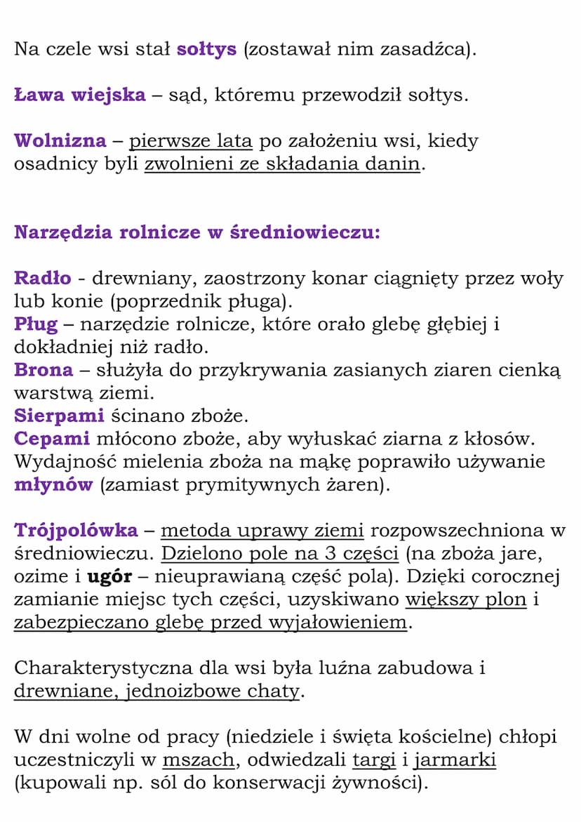 Społeczeństwo
średniowiecza
Cały dział
(NE, kl 5, dział V)
System feudalny
W średniowieczu uważano, że państwo jest własnością
władcy i cała