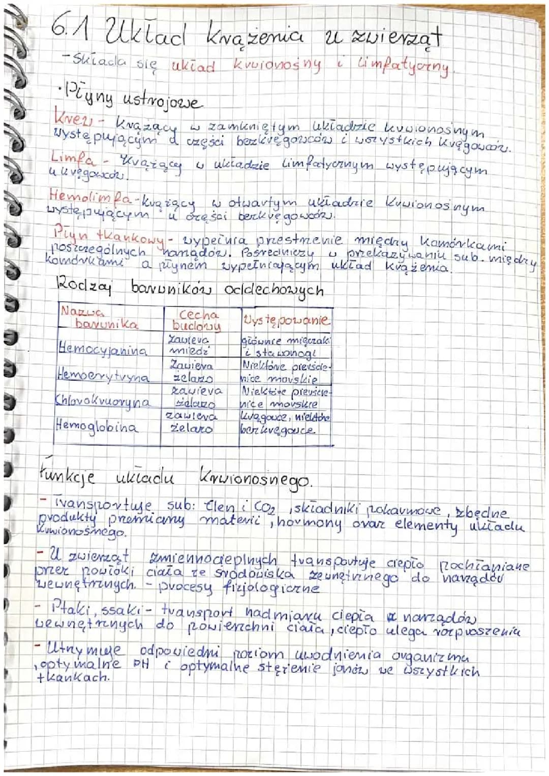 układ krążenia u zwierząt 