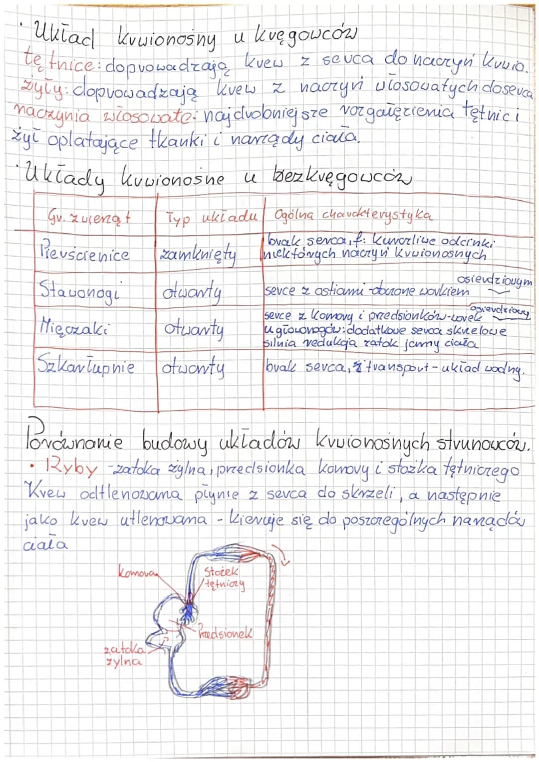 3
2
D
6.1 Układ krążenia u zwierząt
-Składa się układ krwionośny i limfatyczny
•Płyny ustrojowe
KNew - krążący
występującym
w zamkniętym ukł