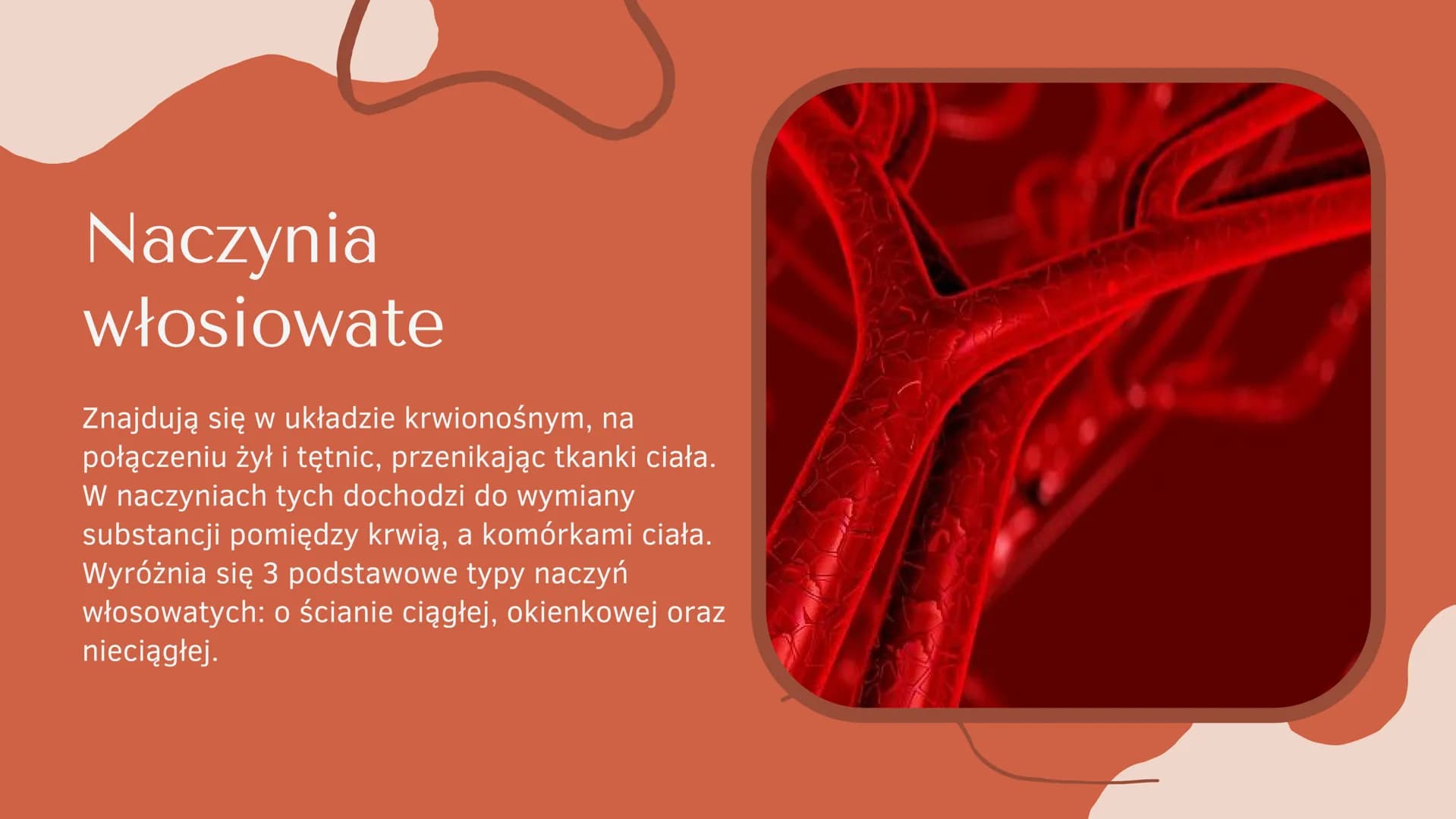 Układ krążenia
człowieka Co to jest
układ
krążenia?
b
SERCE, TĘTNICE, ŻYŁY ORAZ NACZYNIA
WŁOSOWATE TWORZĄ ZAMKNIĘTY UKŁAD,
ZWANY UKŁADEM KRĄ