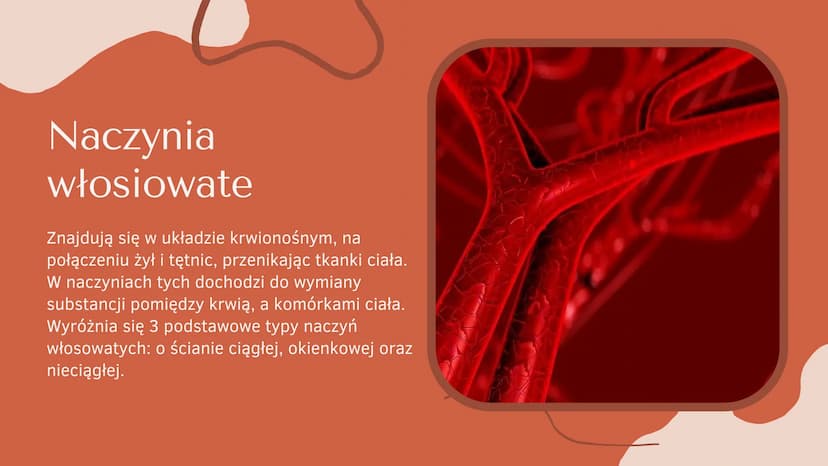Układ krążenia
człowieka Co to jest
układ
krążenia?
b
SERCE, TĘTNICE, ŻYŁY ORAZ NACZYNIA
WŁOSOWATE TWORZĄ ZAMKNIĘTY UKŁAD,
ZWANY UKŁADEM KRĄ