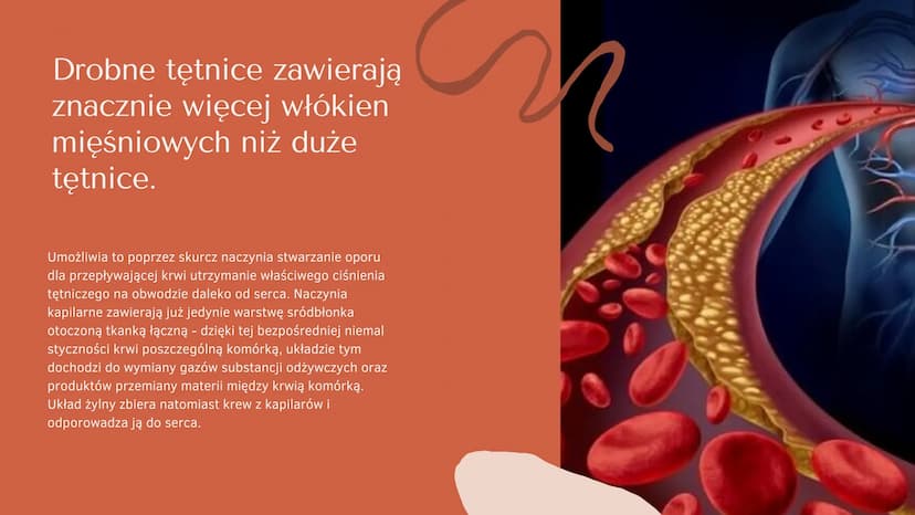 Układ krążenia
człowieka Co to jest
układ
krążenia?
b
SERCE, TĘTNICE, ŻYŁY ORAZ NACZYNIA
WŁOSOWATE TWORZĄ ZAMKNIĘTY UKŁAD,
ZWANY UKŁADEM KRĄ