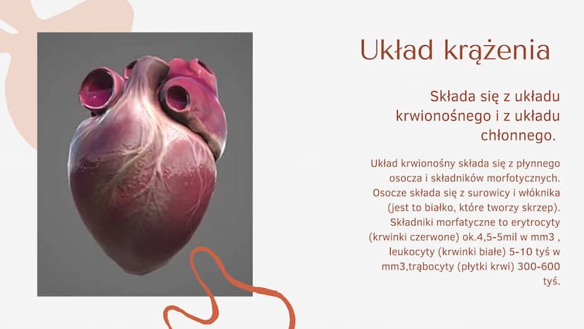 Układ krążenia
człowieka Co to jest
układ
krążenia?
b
SERCE, TĘTNICE, ŻYŁY ORAZ NACZYNIA
WŁOSOWATE TWORZĄ ZAMKNIĘTY UKŁAD,
ZWANY UKŁADEM KRĄ