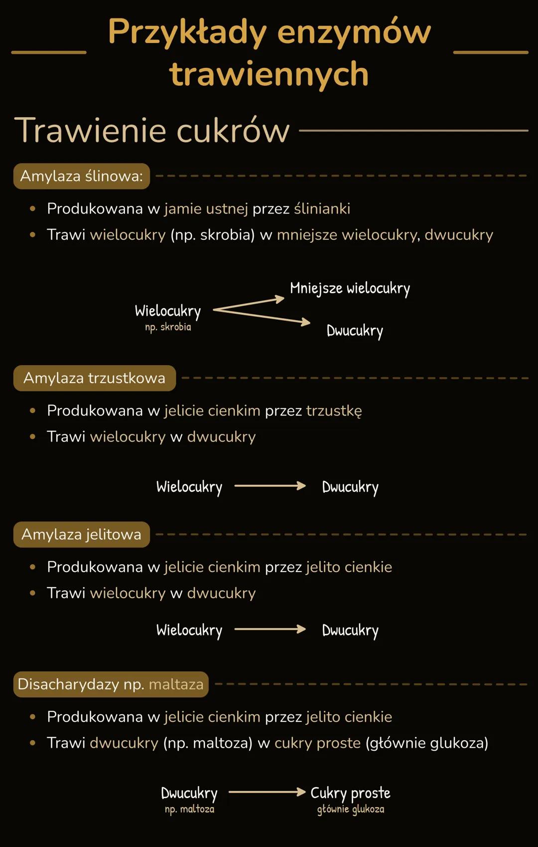 --- OCR Start ---
PROCESY TRAWIENIA I WCHŁANIΑΝΙΑ
Trawienie pokarmu
• Trawienie pokarmu - proces rozkładu złożonych związków organicznych
na