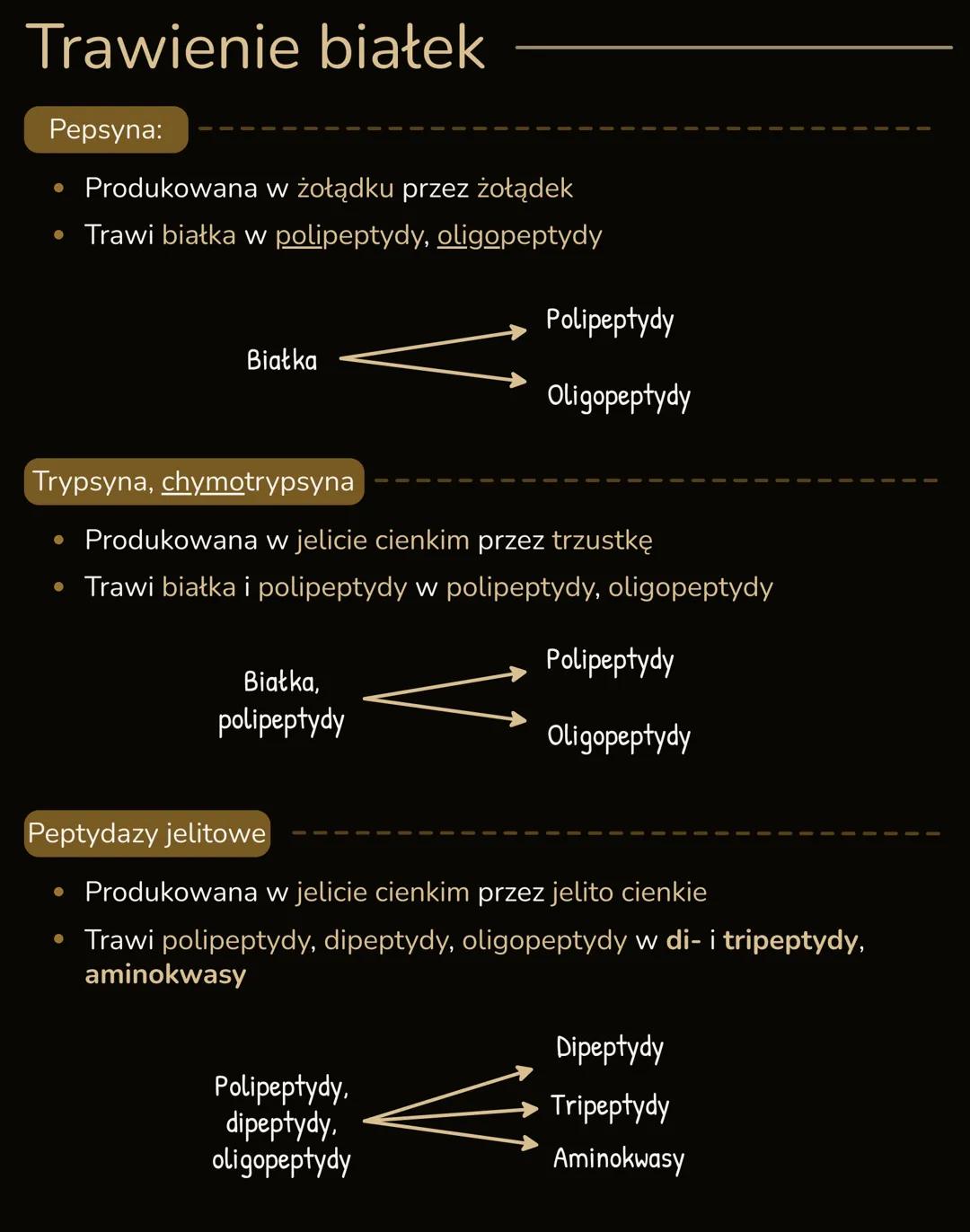 --- OCR Start ---
PROCESY TRAWIENIA I WCHŁANIΑΝΙΑ
Trawienie pokarmu
• Trawienie pokarmu - proces rozkładu złożonych związków organicznych
na