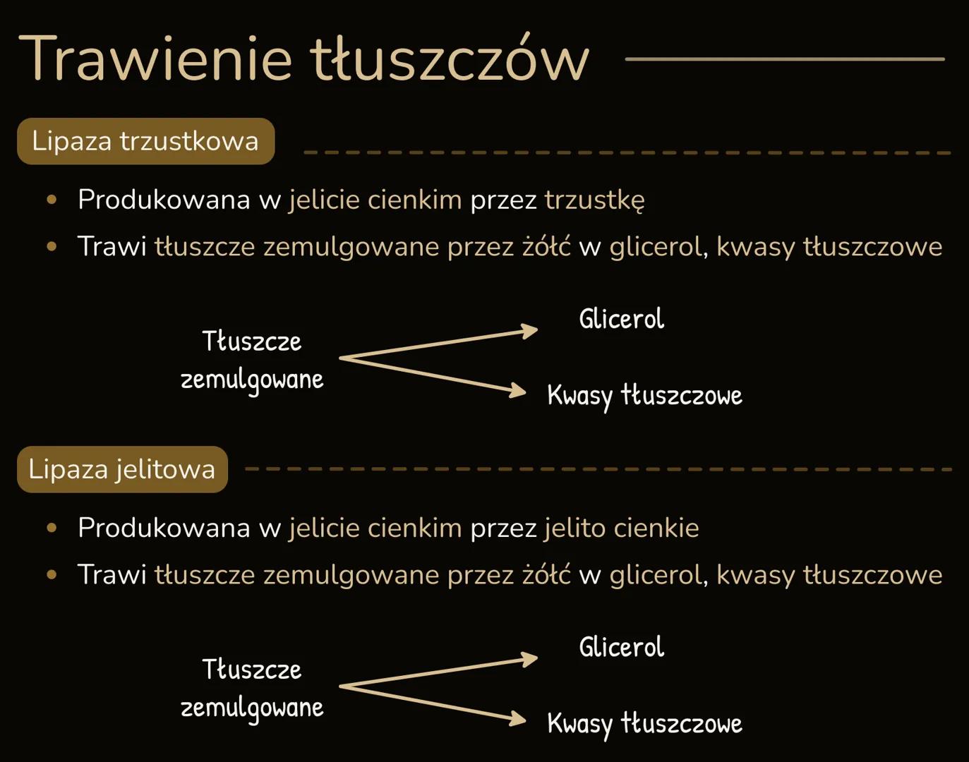 --- OCR Start ---
PROCESY TRAWIENIA I WCHŁANIΑΝΙΑ
Trawienie pokarmu
• Trawienie pokarmu - proces rozkładu złożonych związków organicznych
na