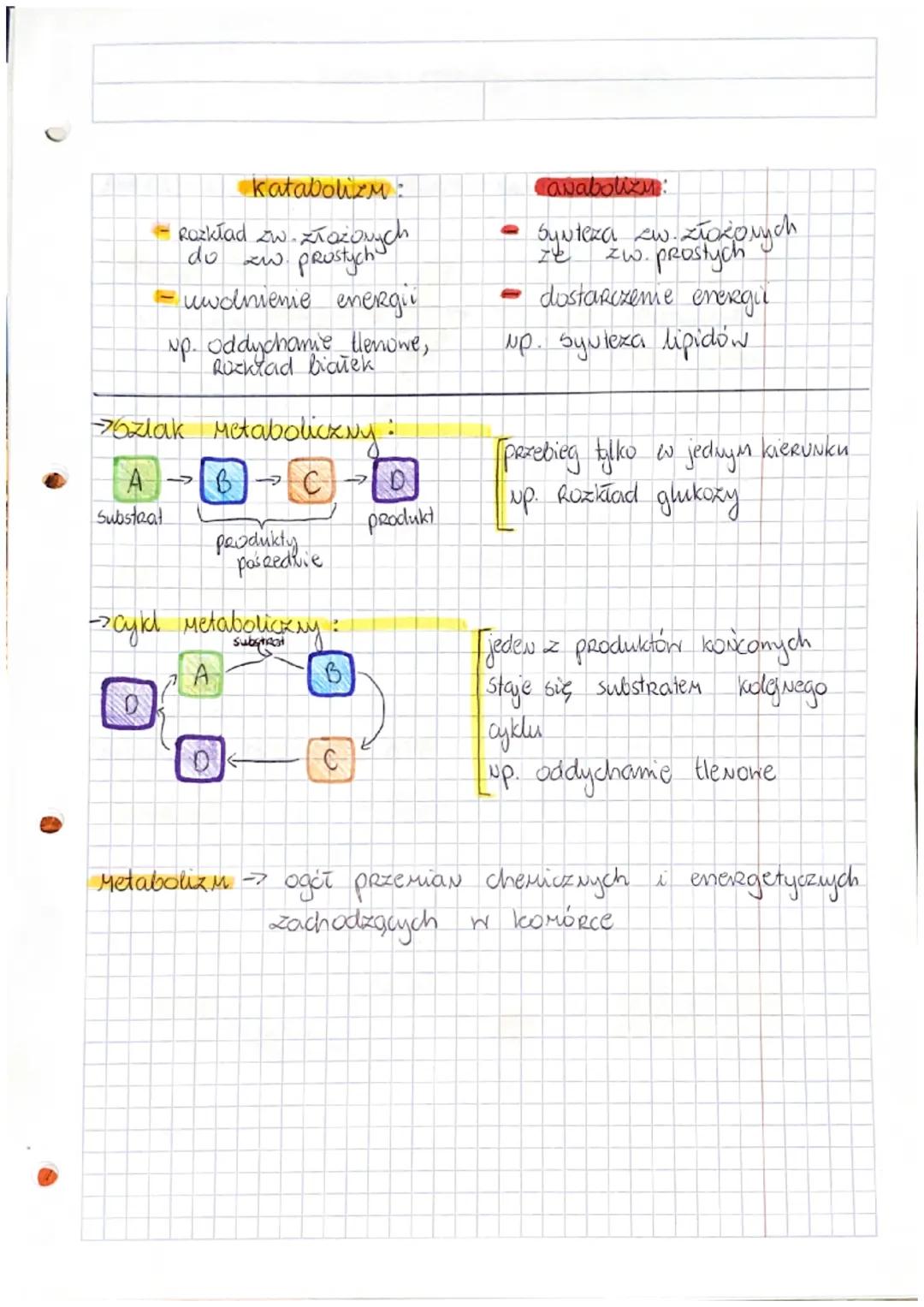 interfaza
schemat cyklu Коморконедо:
cytokineza
cykl komórkony podziały komórkowe
itoza
Mitoza
cytokineza
FAZA
→ Mitoza
FAZA G₂
(D
2N
faza G