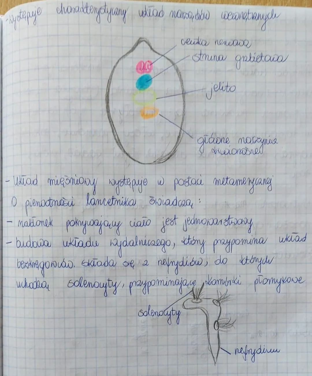 род тур
OSKONICE
TYP: STRONONCE
you
Sarad Daagu,
BEZOCAS2KORCES
(lancetnik)
CRASHODCE
(dręgowce)
bezuchwawce
GROYAQ Kragiouste
(MINSG)
zubwa