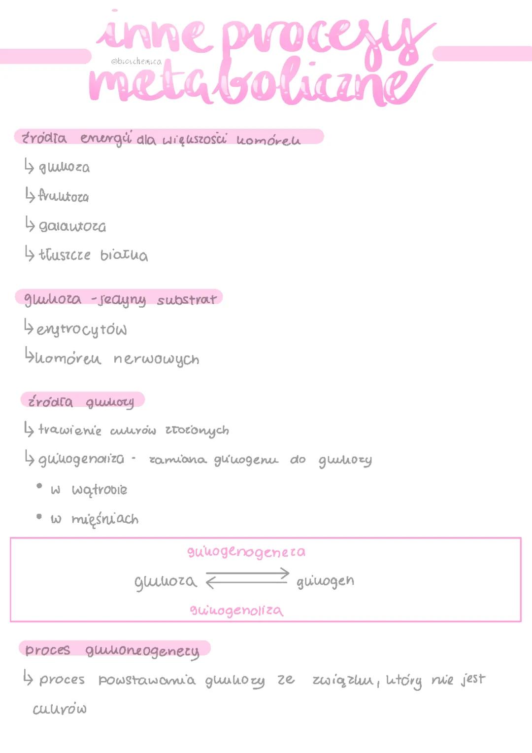 Notatka o Innych Procesach Metabolicznych - Test, Prezentacja, PDF