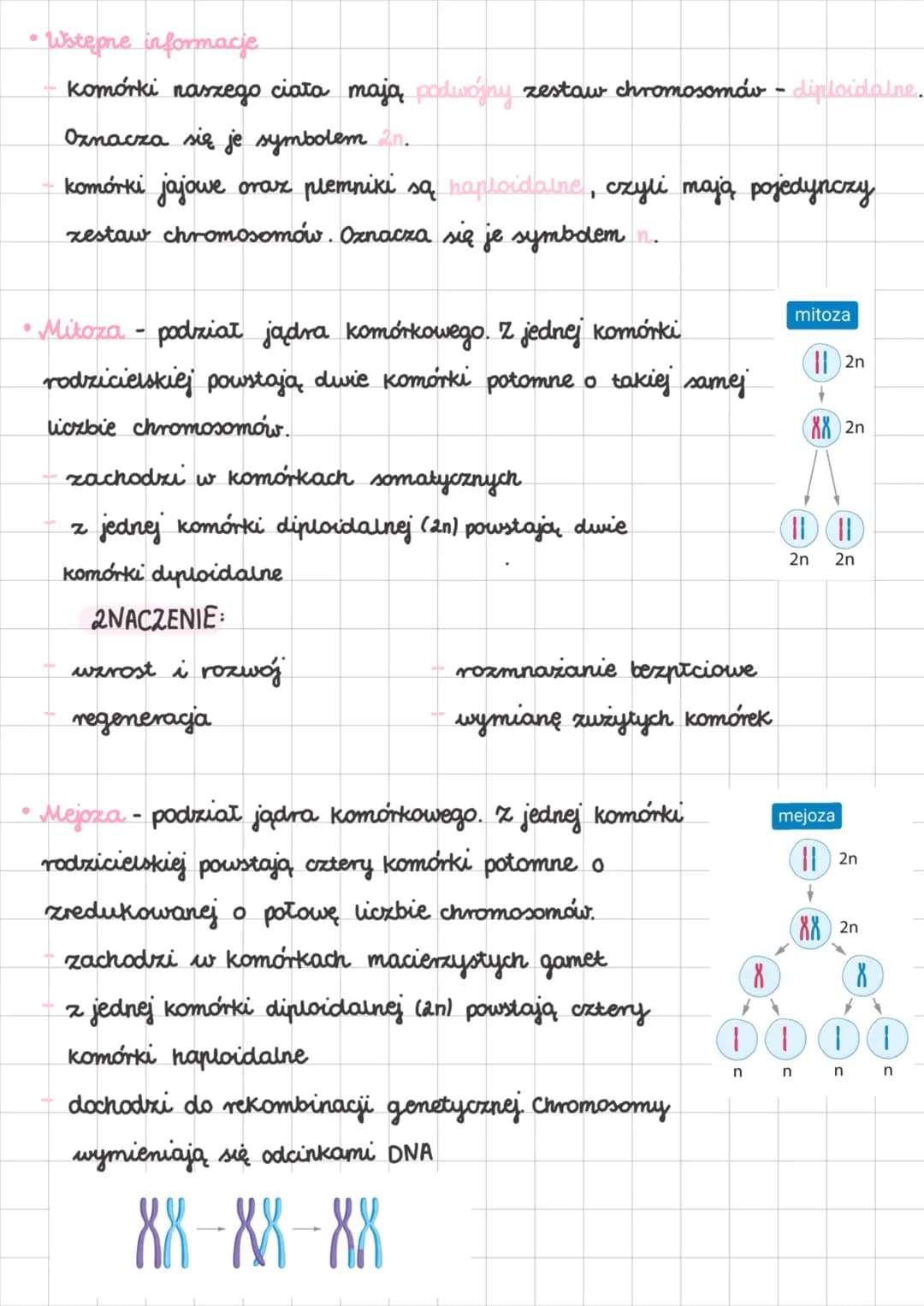 • Wstępne informacje
komórki naszego ciała mają podwójny zestaw chromosomáv - diploidalne.
Oznacza się je symbolem 2n.
komórki jajowe oraz p