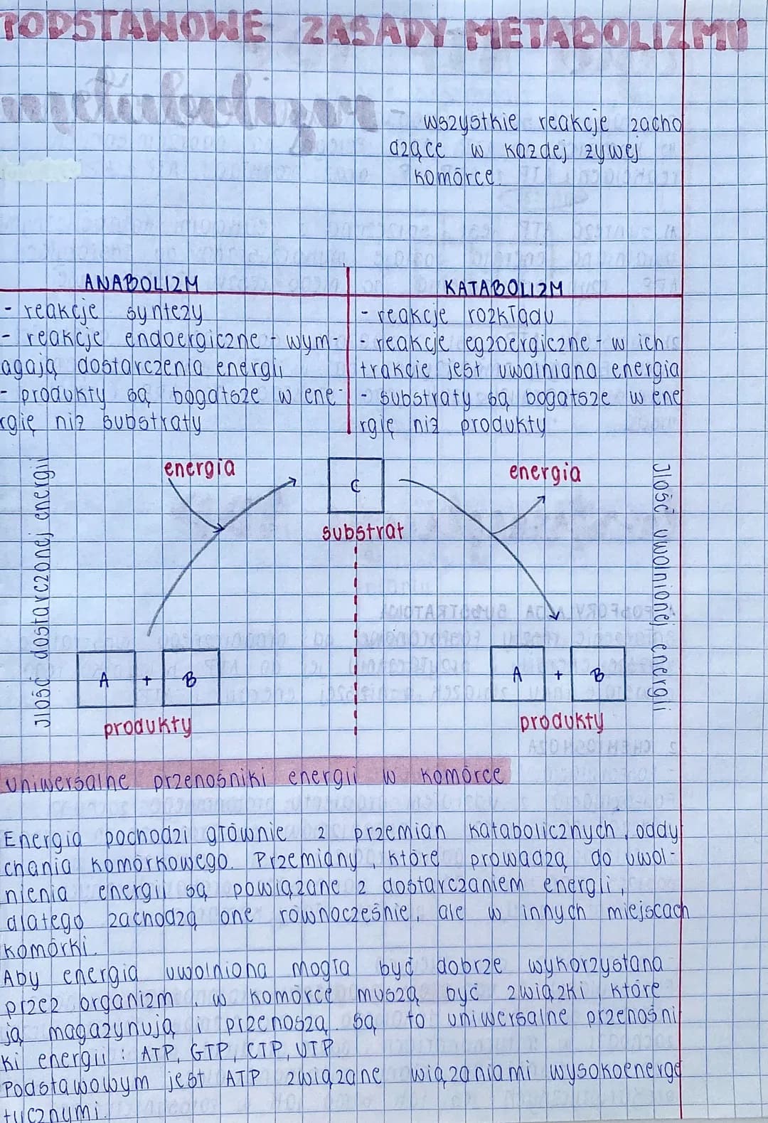 TODSTAWOWE ZASADY METABOLIZMI
Wszystkie reakcje zacho
02ące w kazdej zywej
Komorce
ANABOLIZM
reakcje syntezy
- reakcje endoergiczne - wym-
a