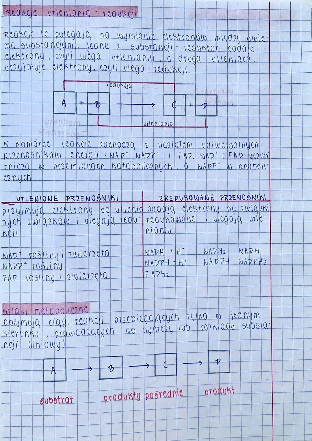 TODSTAWOWE ZASADY METABOLIZMI
Wszystkie reakcje zacho
02ące w kazdej zywej
Komorce
ANABOLIZM
reakcje syntezy
- reakcje endoergiczne - wym-
a