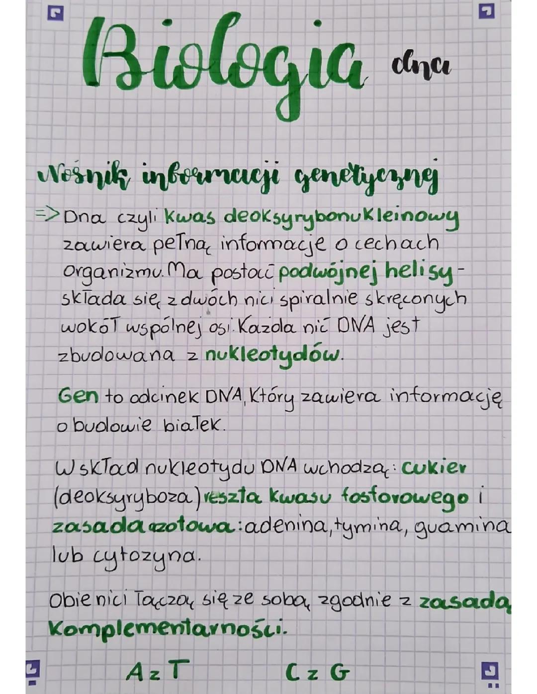 Kwas deoksyrybonukleinowy-DNA