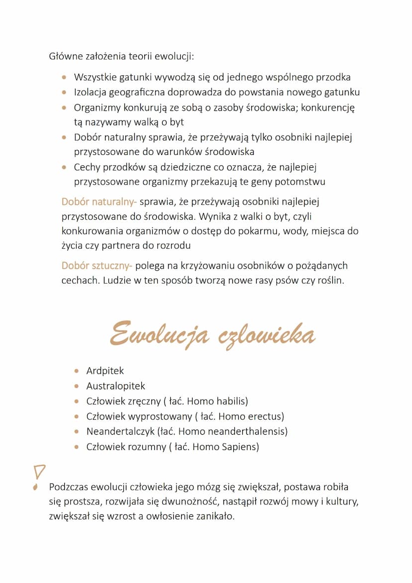 Ewolucja
Czyli proces stopniowych zmian budowy ciała, sposobu życia, upodobań
pokarmowych lub innych cech gatunkowych.
Dowody ewolucji:
1. B