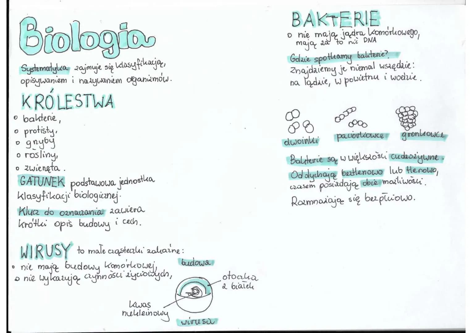 Biologia
Systematyka zajmuje się klasyfikacją,
opisywaniem i nazywaniem organizmów.
KRÓLESTWA
• bakterie,
O
protisty,
gryby
0 rosliny,
zwien
