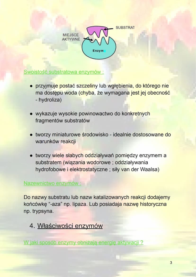 Budowa i działanie enzymów
1. Energia aktywacji - jest to energia potrzebna,
która trzeba dostarczyć do przeprowadzenia
procesu.
reakcja egz