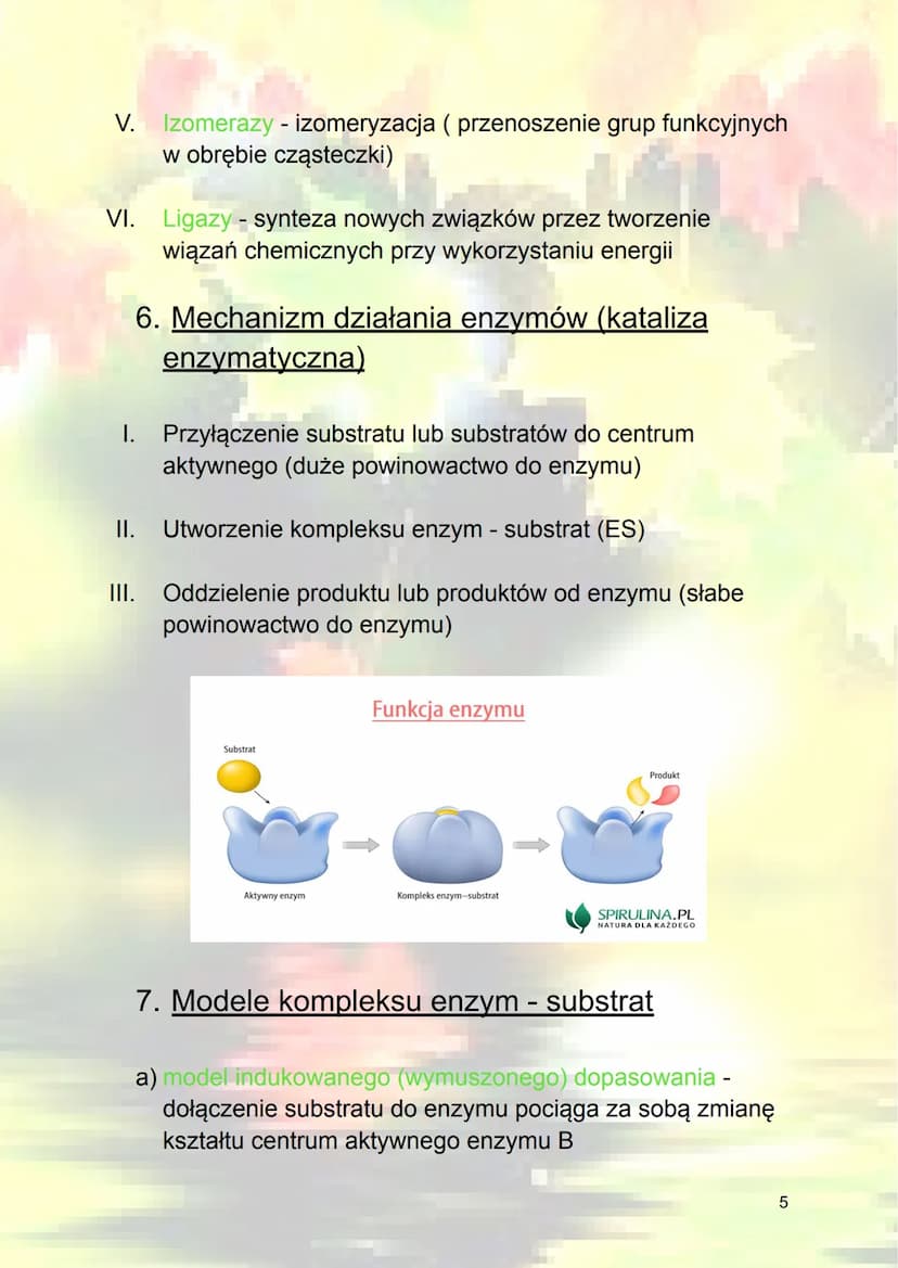 Budowa i działanie enzymów
1. Energia aktywacji - jest to energia potrzebna,
która trzeba dostarczyć do przeprowadzenia
procesu.
reakcja egz