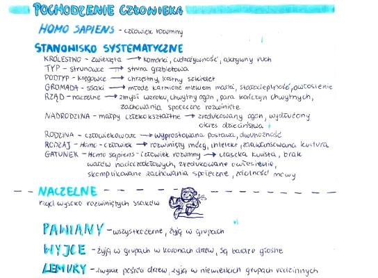 Ewolucja Zycia Klasa 8 Notatka Ewolucja Człowieka: Etapy i Dowody (Biologia) - Knowunity