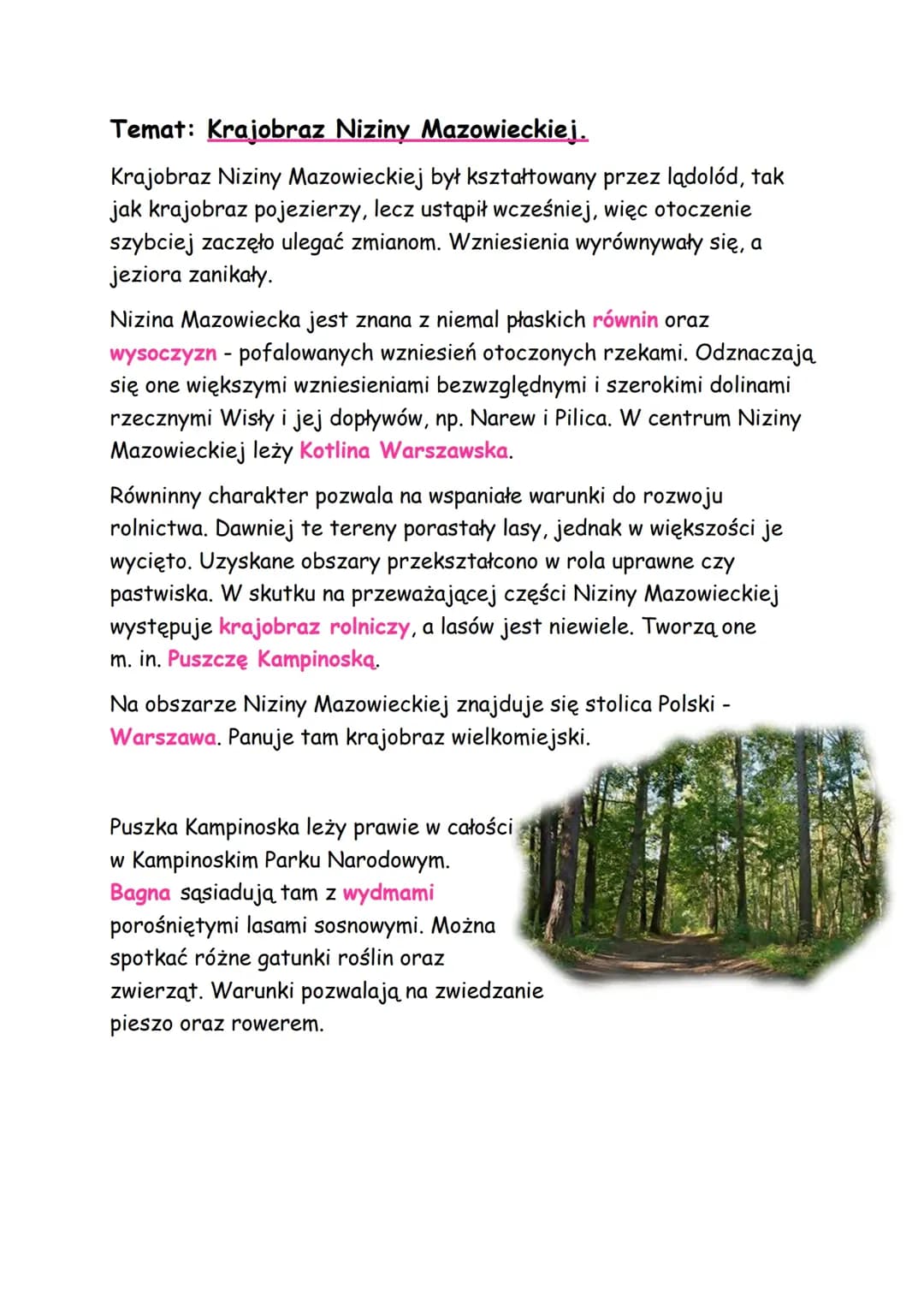 Krajobraz Niziny Mazowieckiej