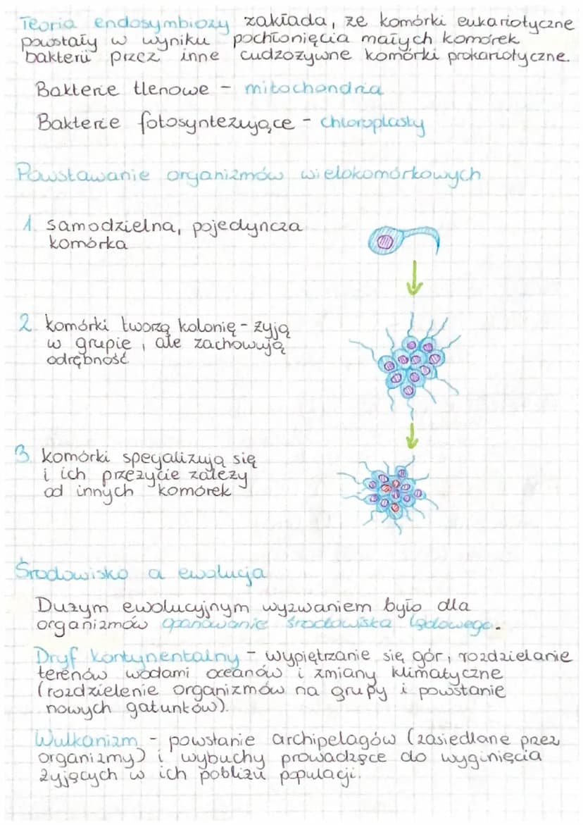 HISTORIA ZYCIA NA ZIEMI
Biogeneza - procesy ewolucyjne, które doprowadziły do
powstania zycia na
Ziemi.
Etapy bagenezy
2wiązki organicane
C
