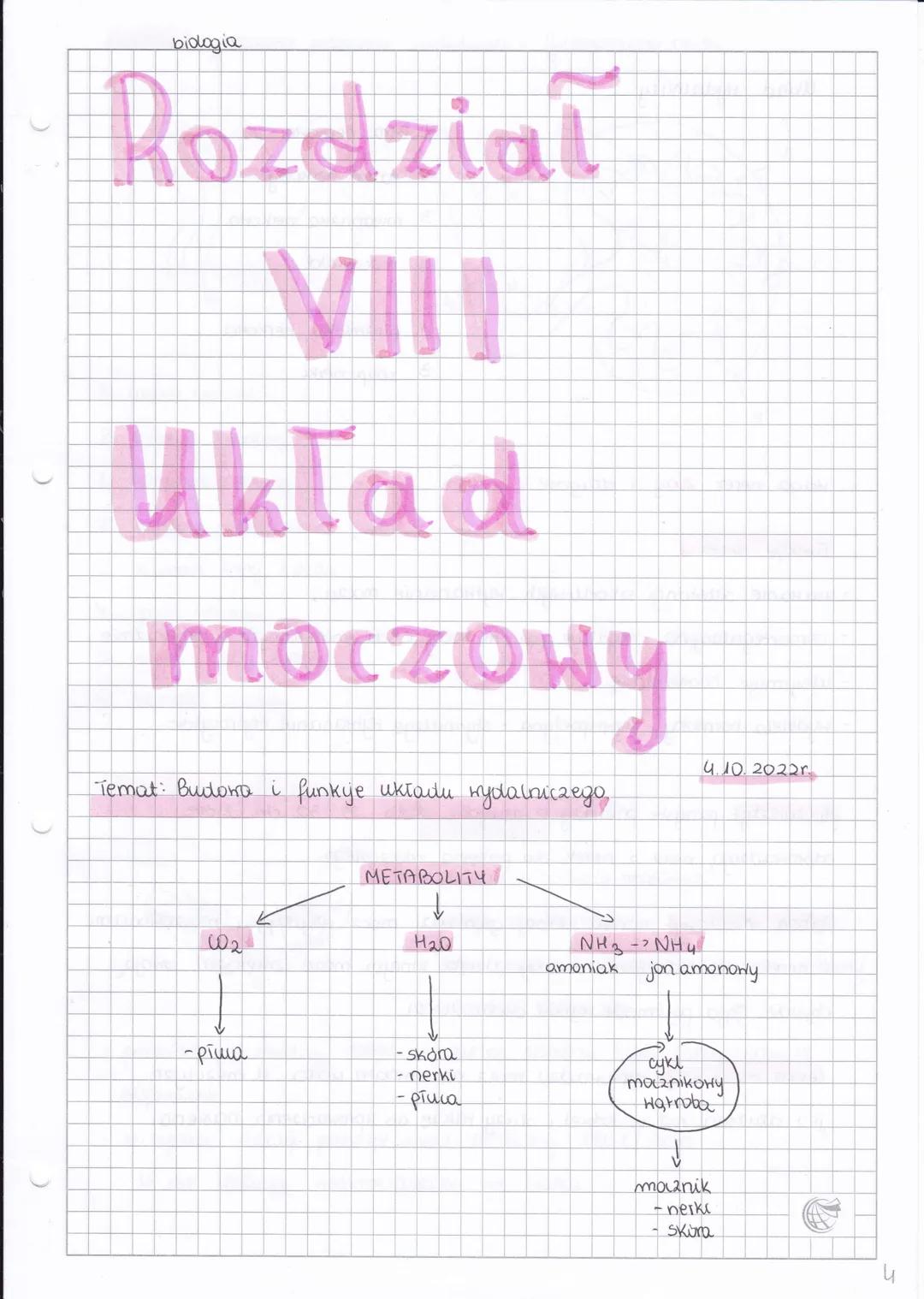 biologia
Rozdzial
VIII
Układ
тосгону
Temat: Buitona i funkyje układu wydalniczego.
- ріша
METABOLITY
↓
H₂0
-skora
- nerki
- płuca
4.10.2022r