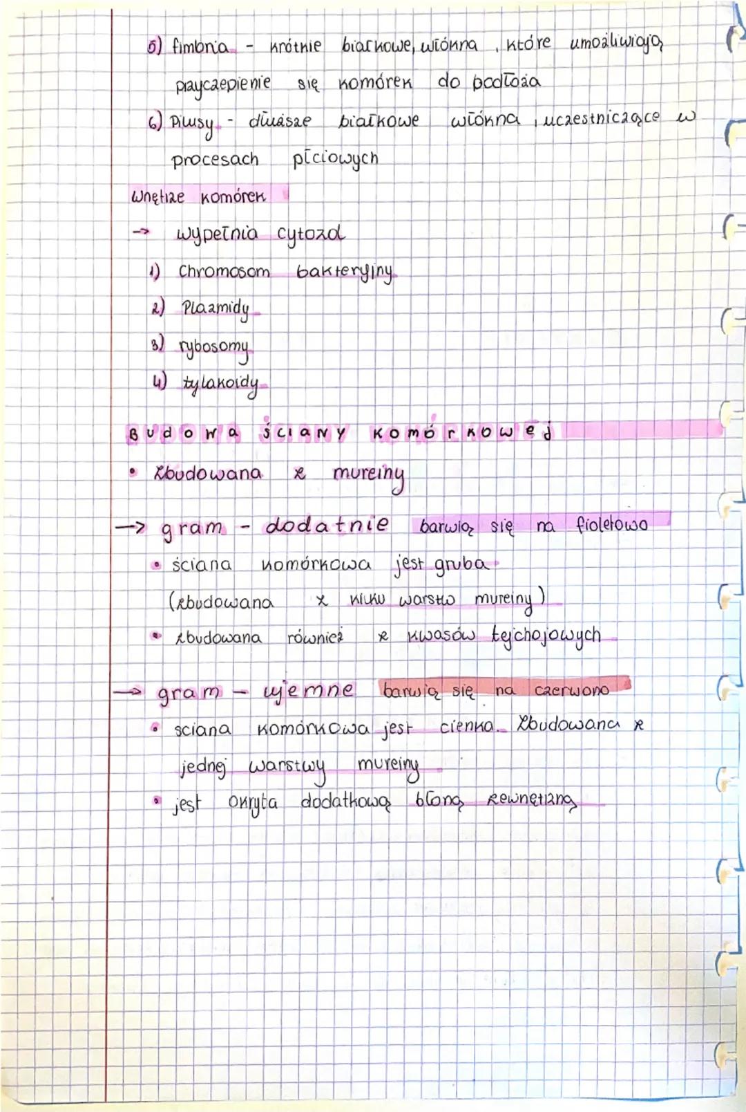 J
ORGANIZMY
BAKTERIE
O
KSZTAŁTY BAKTERI
→Kuliste
→Spiralne
1>> Cylindryczne
→ Nieregularne
ty
zne
ARCheowce
BUDOWA
UDO
BAKTERII
Nie mają jąd