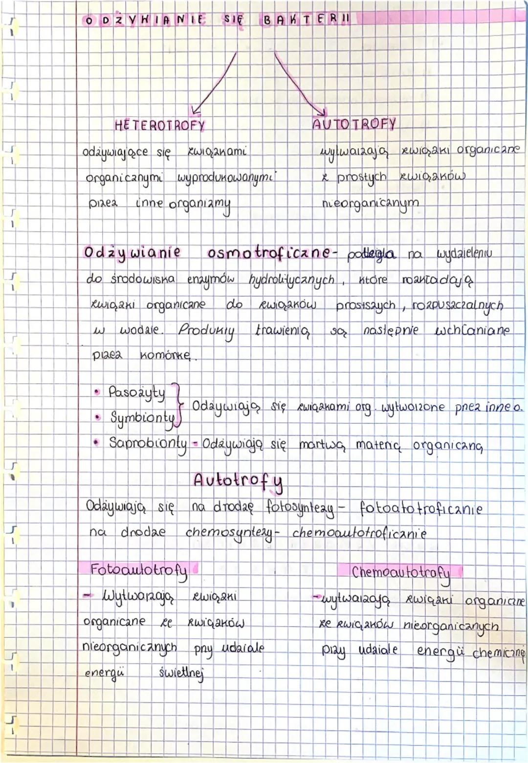 J
ORGANIZMY
BAKTERIE
O
KSZTAŁTY BAKTERI
→Kuliste
→Spiralne
1>> Cylindryczne
→ Nieregularne
ty
zne
ARCheowce
BUDOWA
UDO
BAKTERII
Nie mają jąd