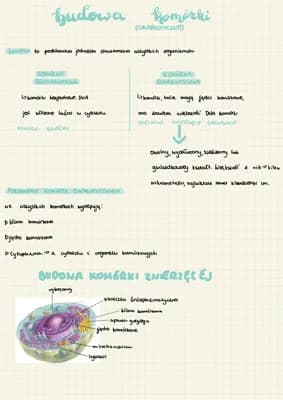 Know budowa komórki  thumbnail