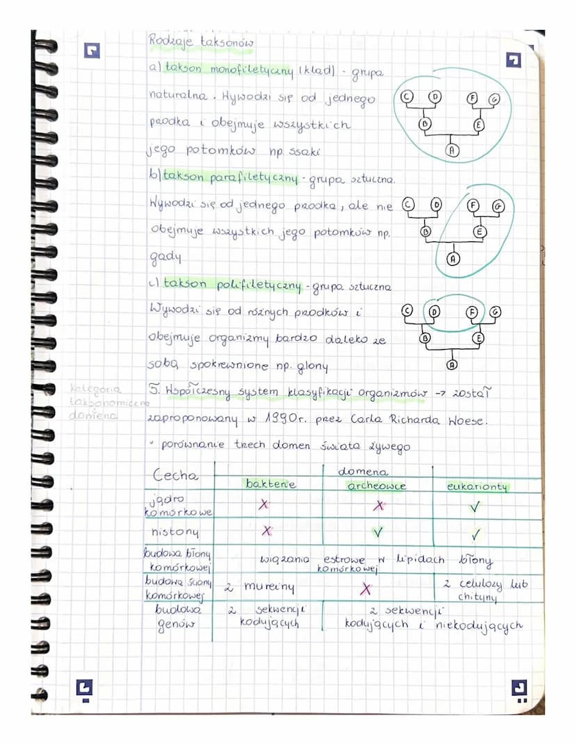 r
Temat: Klasyfikowanie organizmów
1. Systematyka i jej zadania
Systematyka - duał biologie zajmujący się klasyfikacją
organizmów, czyli ich