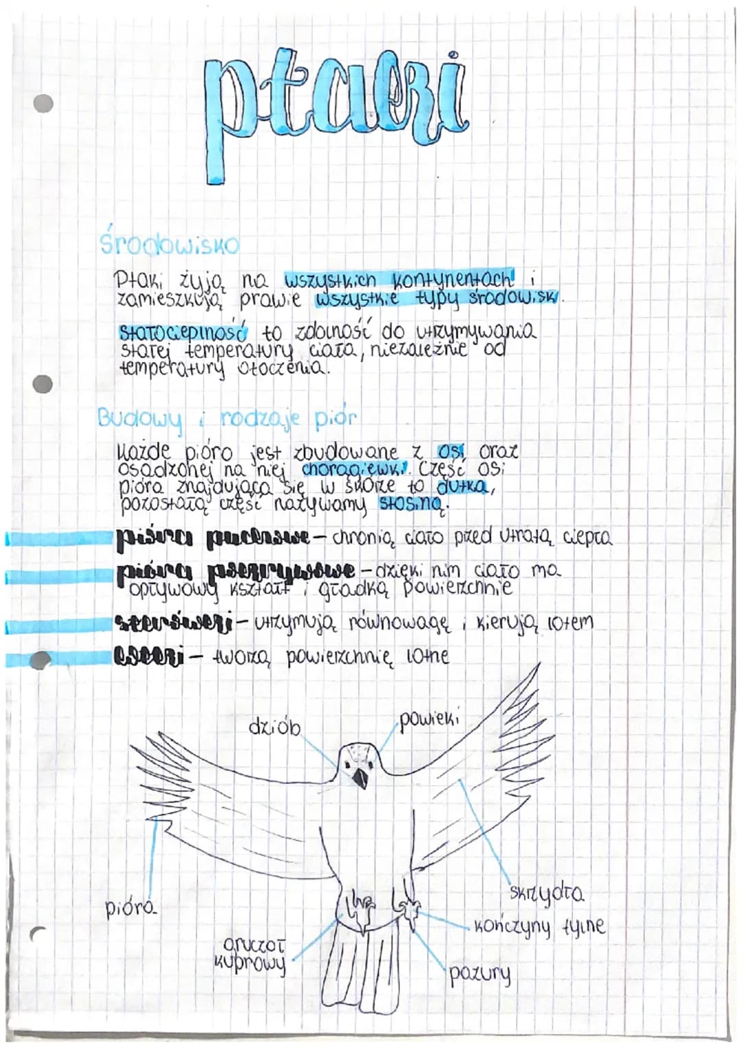 taki
środowisko
Ptaki żyją na wszystkich kontynentach!
zamieszkują prawie wszystkie typy środowisk.
Stato cieplność to zdolność do utrzymywa