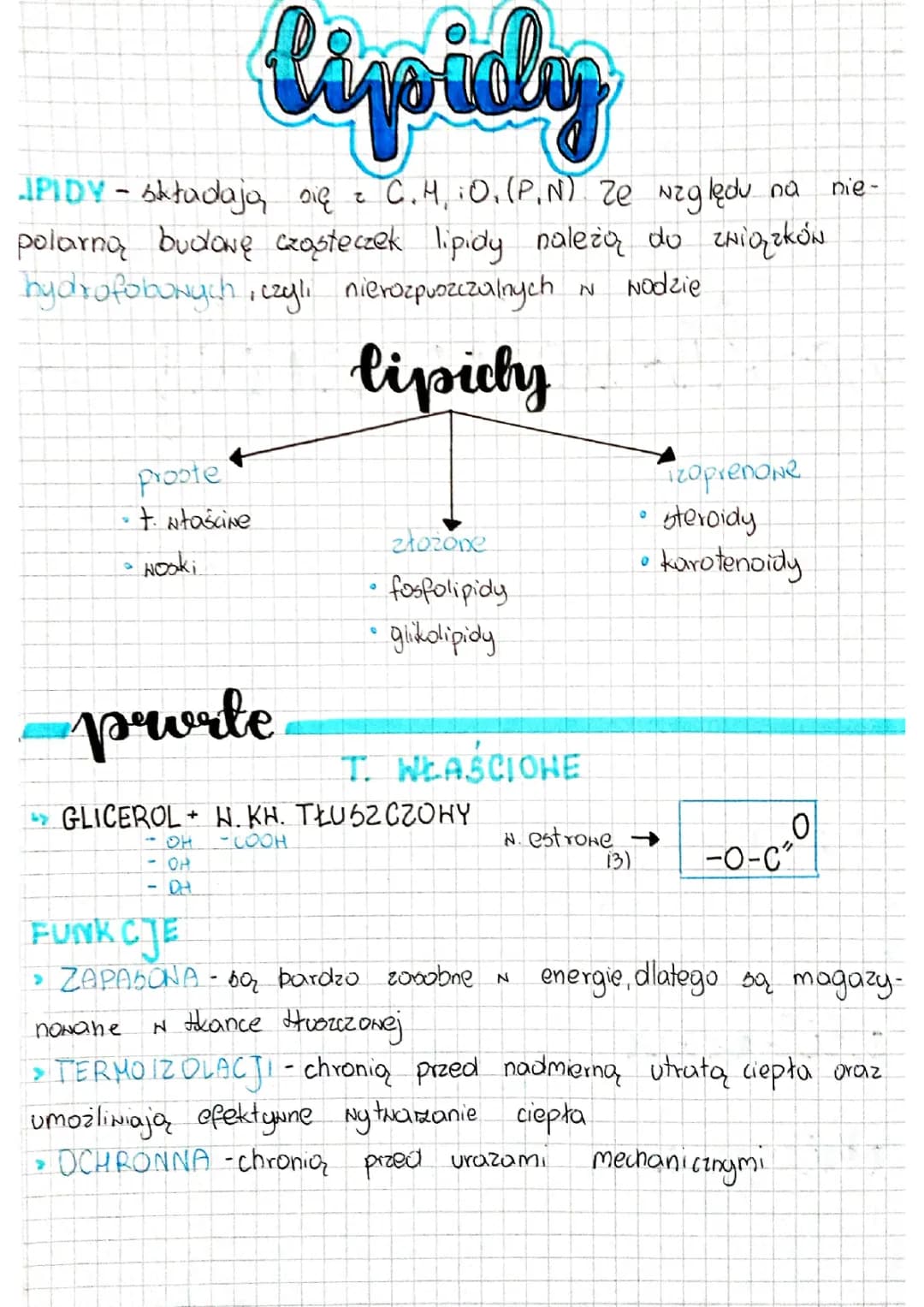 Why Lipids Are Super Important: Hydrophobic Powers and Phospholipid Roles