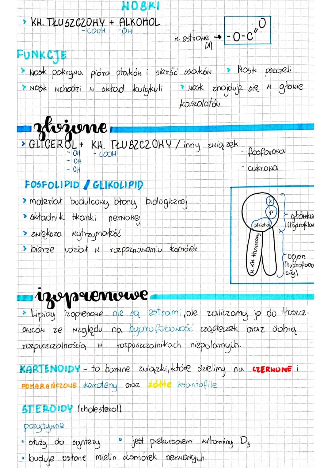 Espiales
IPIDY - składają się = C.H. 10. (P.N) Ze względu na nie-
polarną budowę cząsteczek lipidy należą do Związków
hydrofobowych, czyli n