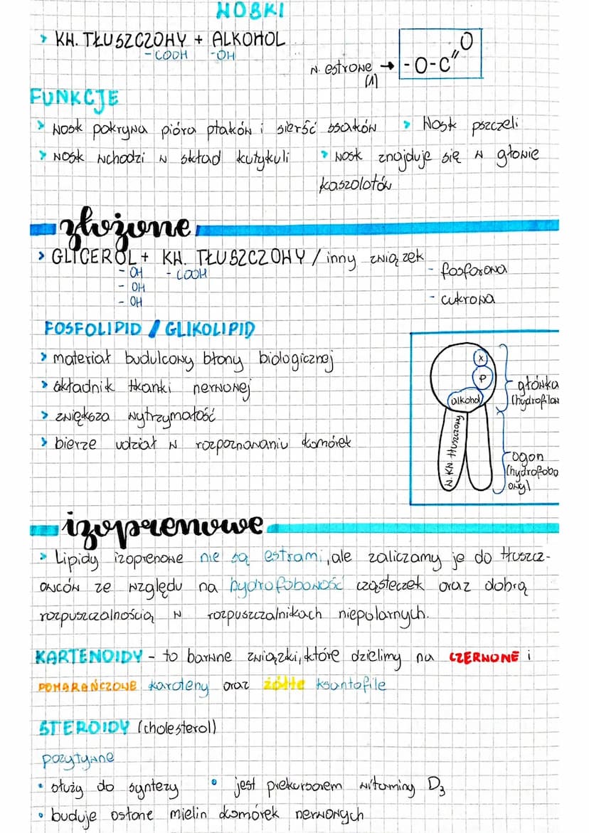Espiales
IPIDY - składają się = C.H. 10. (P.N) Ze względu na nie-
polarną budowę cząsteczek lipidy należą do Związków
hydrofobowych, czyli n