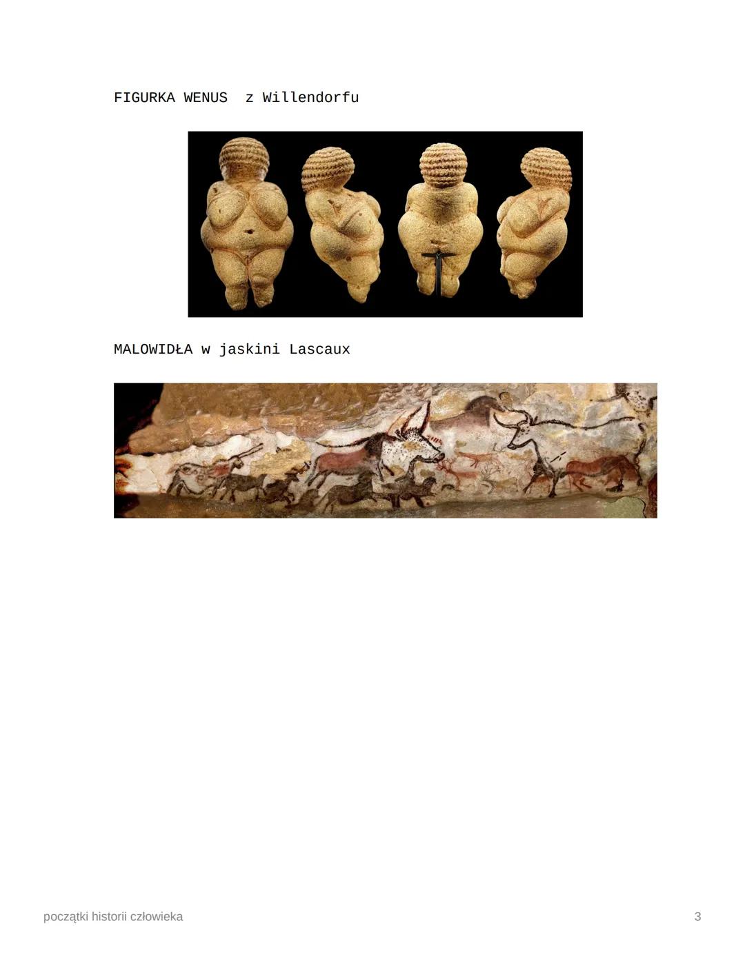 początki historii
człowieka
podręcznik
maturalne
Ⓒzeszyt
antropogeneza
nauka, która wyjaśnia jak powstał człowiek
pochodzenie)
(gr. ánthropo