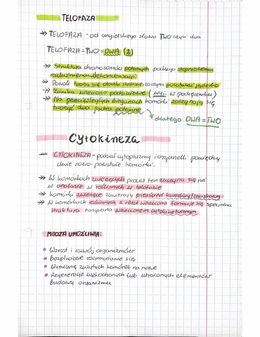 mitoza
FAZA
M
ecccccccce
ROZWOJ
REPLIKACJA
ONA
INTERFAZA
FUNKCJE
KOMÓRKI
CYKL KOMÓRKOWY
→Cykl komórkowy - jest
to takie ucie komórki.
Najpie