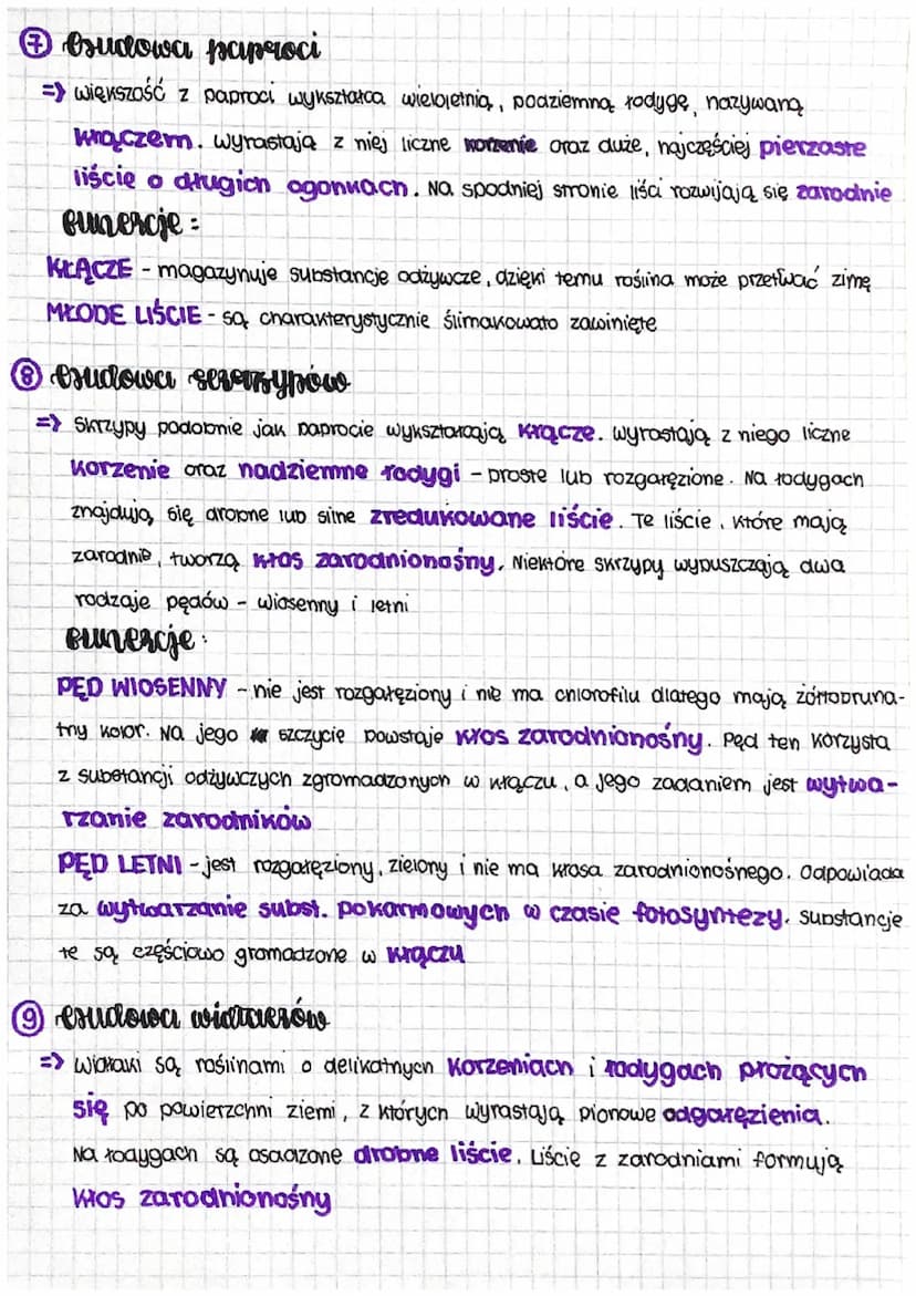 briologia-
Ⓒicery grodowisero
Mcny najczęściej żyją na lądach, lubią one cieniste i wilgotne miejsca
-
2 esudowa mcerów
=> pojedyńcza roślin