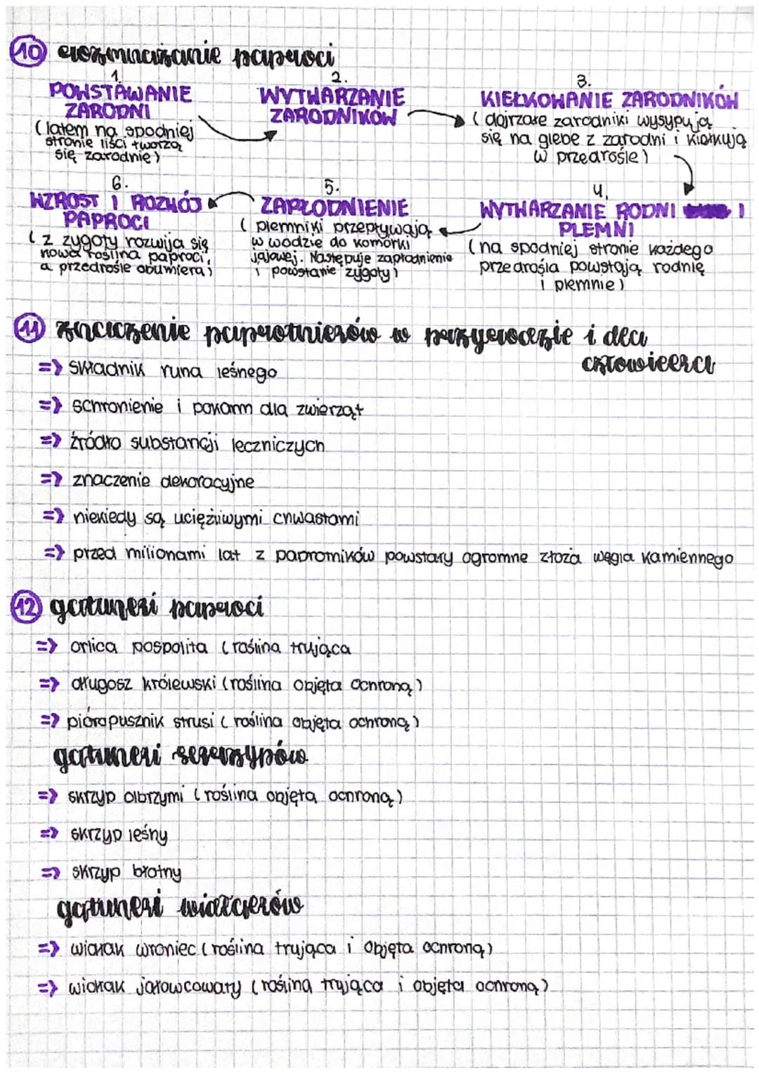 briologia-
Ⓒicery grodowisero
Mcny najczęściej żyją na lądach, lubią one cieniste i wilgotne miejsca
-
2 esudowa mcerów
=> pojedyńcza roślin
