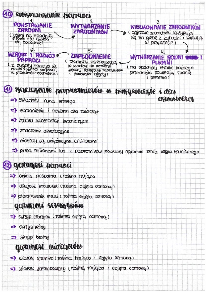 briologia-
Ⓒicery grodowisero
Mcny najczęściej żyją na lądach, lubią one cieniste i wilgotne miejsca
-
2 esudowa mcerów
=> pojedyńcza roślin