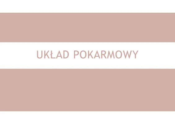 Know UKŁAD POKARMOWY - prezentacja thumbnail