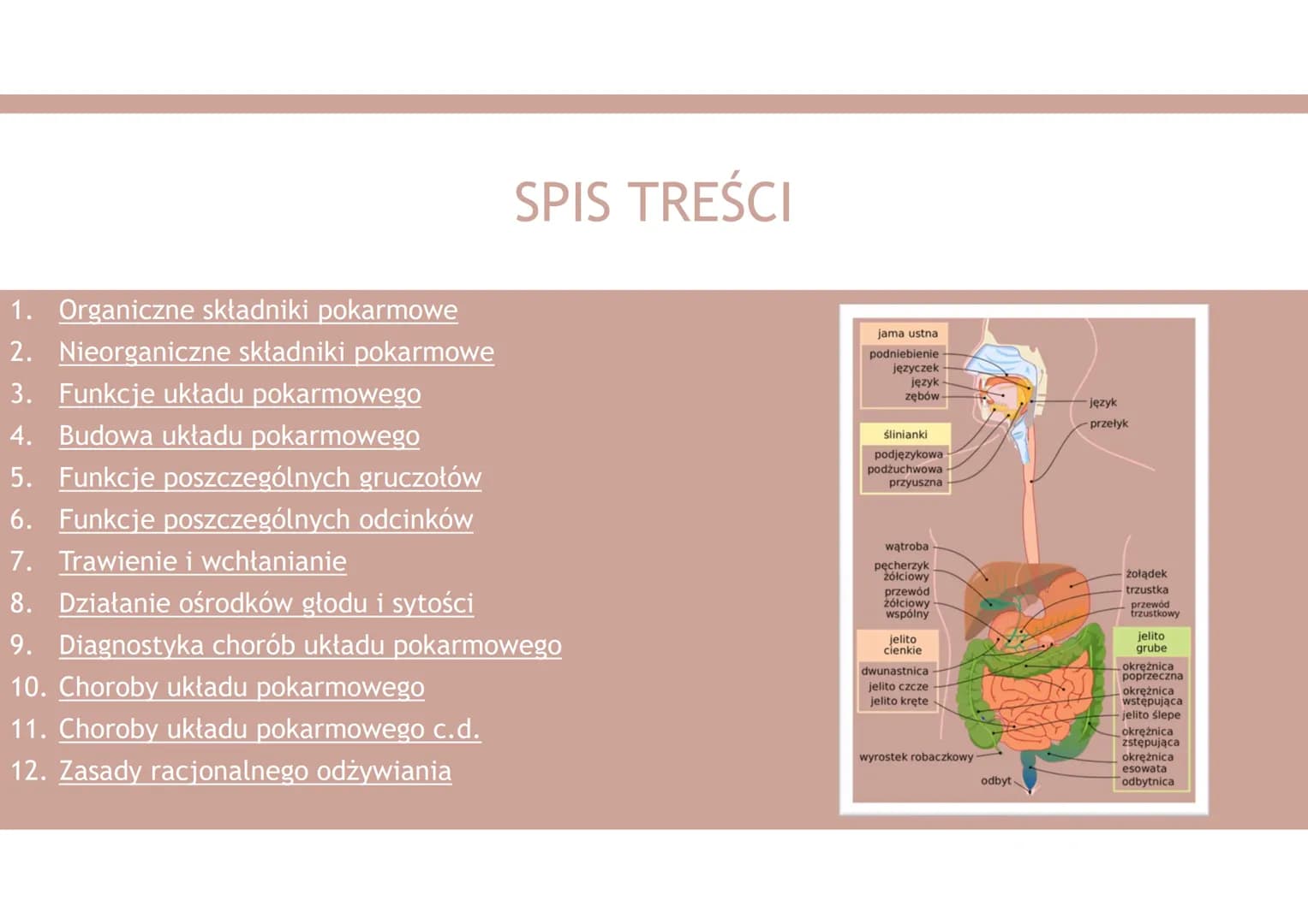 UKŁAD POKARMOWY 1. Organiczne składniki pokarmowe
2. Nieorganiczne składniki pokarmowe
3. Funkcje układu pokarmowego
4. Budowa układu pokarm