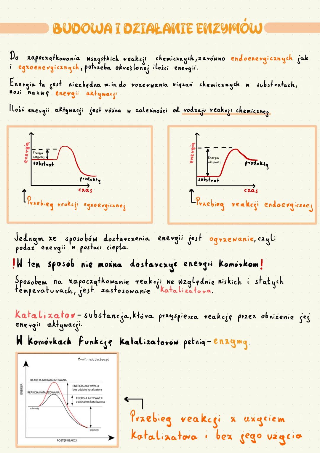 # BUDOWA I DZIAŁANIE ENZYMÓW

Do zapoczątkowania wszystkich reakcji chemicznych, zarówno endoenergicznych jak
i egzoenergicznych, potrzeba o