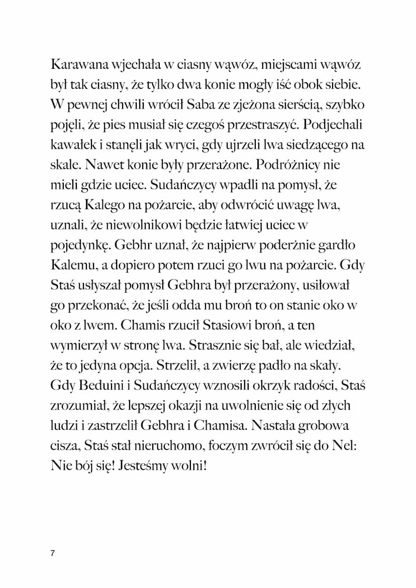 Henryk Sienkiewicz
CZAS I MIEJSCE AKCJI
Powieść dzieje się pod koniec XIX wieku w Afryce.
I.
W pustyni iw puszczy
2.
1
BOHATEROWIE
Staś Tark