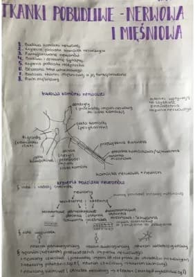Know tkanki pobudliwe- nerwowa i mięśniowa  thumbnail